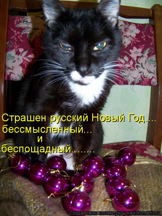 Котоматрица: Страшен русский Новый Год.... бессмысленный...  и  беспощадный........