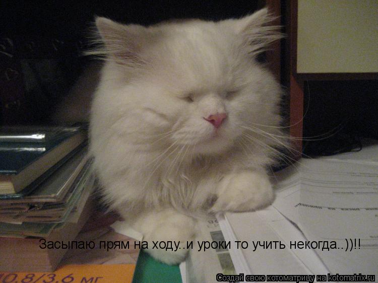 Засыпаю прям на ходу..и уроки то учить некогда..))!!... Котоматрица: Засыпаю прям на ходу..и уроки то учить некогда..))!!