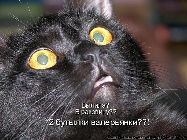 Вылила? В раковину?? 2 бутылки валерьянки??!... Котоматрица: Вылила? В раковину?? 2 бутылки валерьянки??!