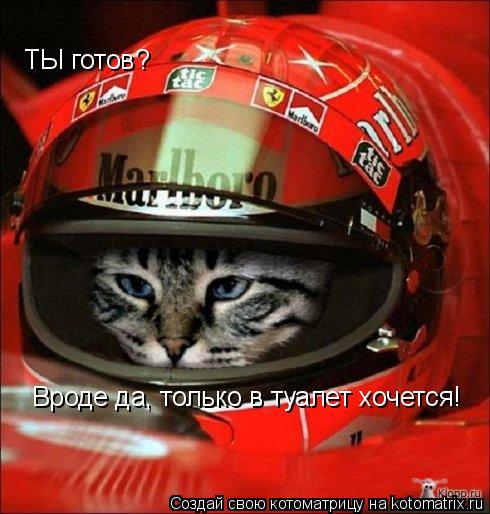ТЫ готов? Вроде да, только в туалет хочется!... Котоматрица: ТЫ готов? Вроде да, только в туалет хочется!