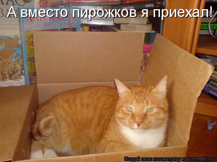 А вместо пирожков я приехал!... Котоматрица: А вместо пирожков я приехал!
