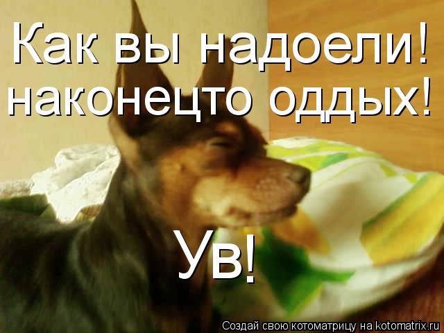 Как вы надоели! наконецто оддых! Ув !... Котоматрица: Как вы надоели! наконецто оддых! Ув !