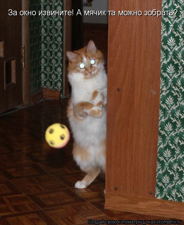 За окно извините! А мячик та можно зобрать?... Котоматрица: За окно извините! А мячик та можно зобрать?