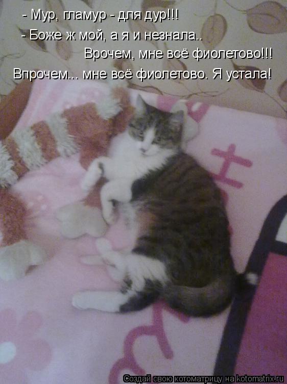 - Мур, гламур - для дур!!! - Боже ж мой, а я и незнала.. Врочем, мне всё фиолетово!!! Впрочем... мне ... Котоматрица: - Мур, гламур - для дур!!! - Боже ж мой, а я и незнала.. Врочем, мне всё фиолетово!!! Впрочем... мне всё фиолетово. Я устала!