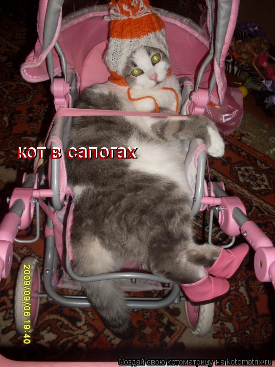 Котоматрица: кот в сапогах кот в сапогах