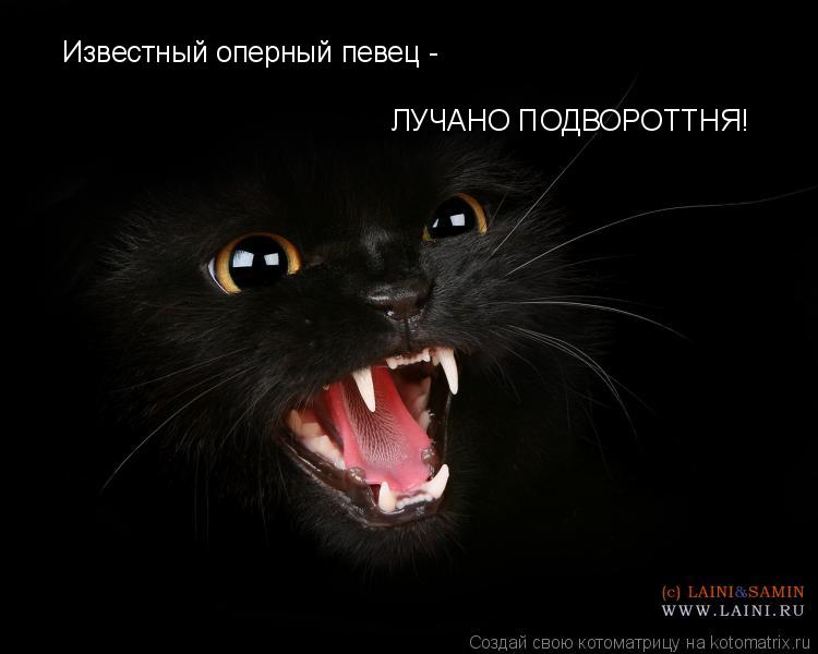 Котоматрица: Известный оперный певец - ЛУЧАНО ПОДВОРОТТНЯ!