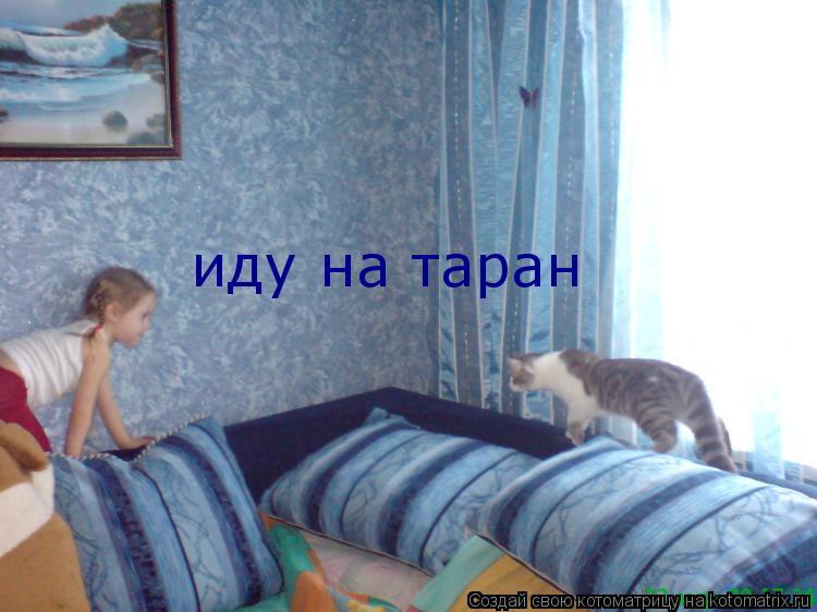 Котоматрица: иду на таран
