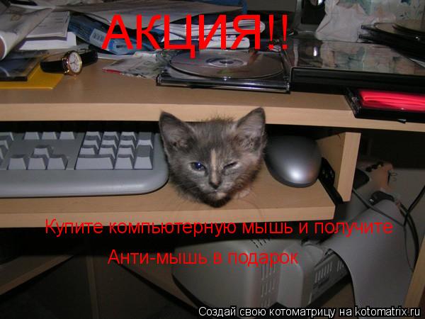 Котоматрица: АКЦИЯ!! Купите компьютерную мышь и получите Анти-мышь в подарок