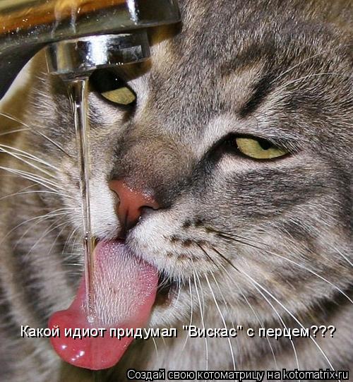 Котоматрица: Какой идиот придумал "Вискас" с перцем???