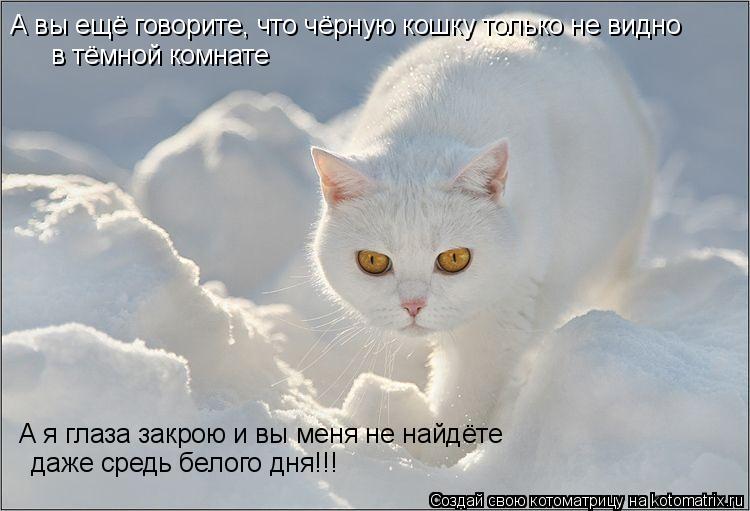 А вы ещё говорите, что чёрную кошку только не видно в тёмной комнате А я глаза закрою и вы меня не н... Котоматрица: А вы ещё говорите, что чёрную кошку только не видно в тёмной комнате А я глаза закрою и вы меня не найдёте даже средь белого дня!!!