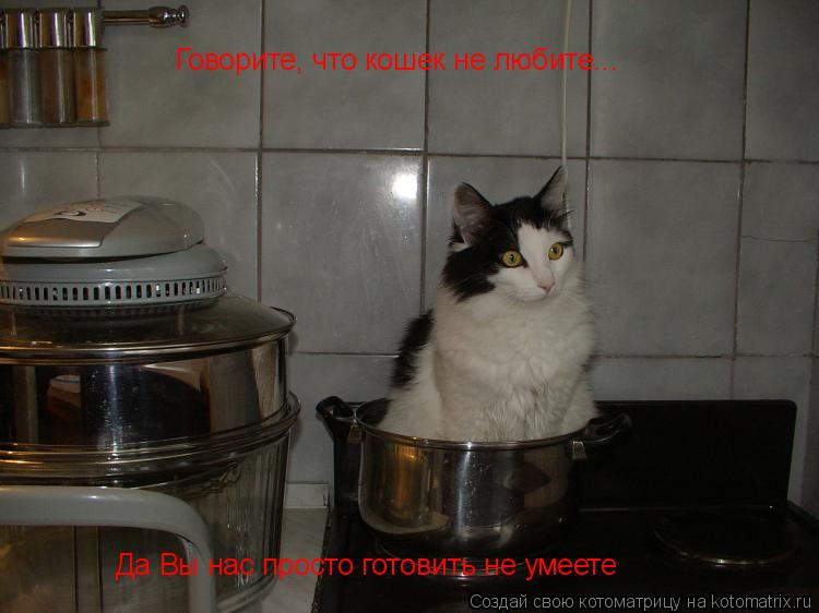 Говорите, что кошек не любите... Да Вы нас просто готовить не умеете... Котоматрица: Говорите, что кошек не любите... Да Вы нас просто готовить не умеете