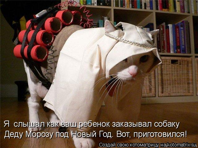 Деду Морозу под Новый Год. Вот, приготовился! Я слышал как ваш ребенок заказывал собаку... Котоматрица: Деду Морозу под Новый Год. Вот, приготовился! Я слышал как ваш ребенок заказывал собаку