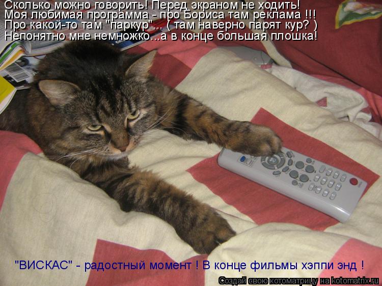 Сколько можно говорить! Перед экраном не ходить! Моя любимая программа - про Бориса там реклама !!! П... Котоматрица: Сколько можно говорить! Перед экраном не ходить! Моя любимая программа - про Бориса там реклама !!! Про какой-то там "паркур"... ( там наверно па
