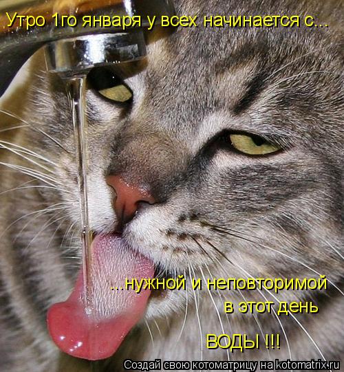 Утро 1го января у всех начинается с... ...нужной и неповторимой в этот день ВОДЫ !!!... Котоматрица: Утро 1го января у всех начинается с... ...нужной и неповторимой в этот день ВОДЫ !!!