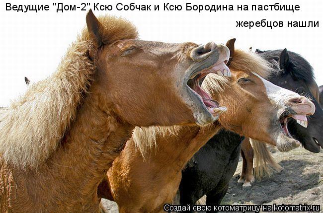 Ведущие "Дом-2" Ксю Собчак и Ксю Бородина на пастбище жеребцов нашли... Котоматрица: Ведущие "Дом-2" Ксю Собчак и Ксю Бородина на пастбище жеребцов нашли
