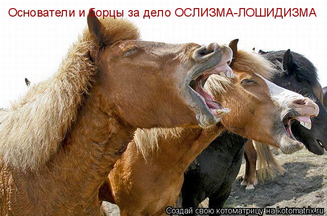 Основатели и борцы за дело ОСЛИЗМА-ЛОШИДИЗМА... Котоматрица: Основатели и борцы за дело ОСЛИЗМА-ЛОШИДИЗМА