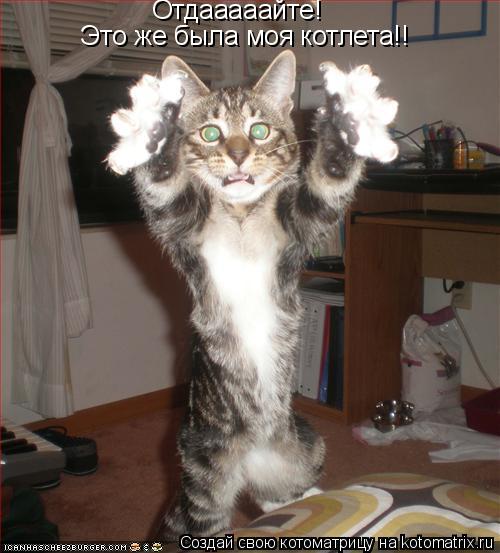 Отдааааайте! Это же была моя котлета!!... Котоматрица: Отдааааайте! Это же была моя котлета!!