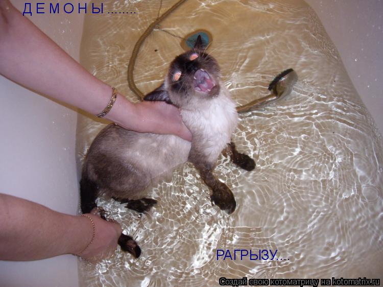 Д Е М О Н Ы ........ РАГРЫЗУ....... Котоматрица: Д Е М О Н Ы ........ РАГРЫЗУ....