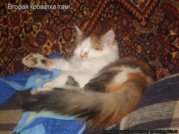 Вторая кроватка там!... Котоматрица: Вторая кроватка там!