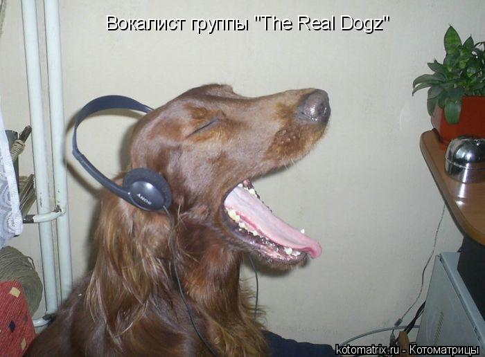 Вокалист группы "The Real Dogz"... Котоматрица: Вокалист группы "The Real Dogz"