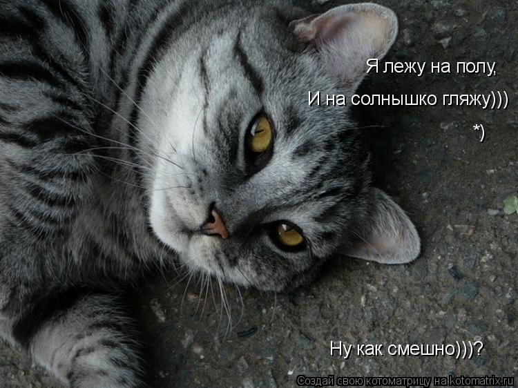 Я лежу на полу, Я лежу на полу, И на солнышко гляжу))) Ну как смешно)))? *)... Котоматрица: Я лежу на полу, Я лежу на полу, И на солнышко гляжу))) Ну как смешно)))? *)