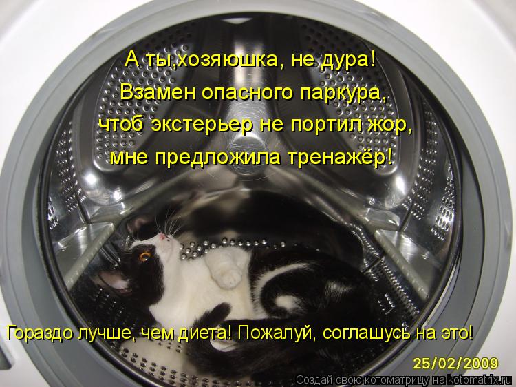 чтоб экстерьер не портил жор, А ты,хозяюшка, не дура! Взамен опасного паркура, мне предложила тренажё... Котоматрица: чтоб экстерьер не портил жор, А ты,хозяюшка, не дура! Взамен опасного паркура, мне предложила тренажёр! Гораздо лучше, чем диета! Пожалуй, сог