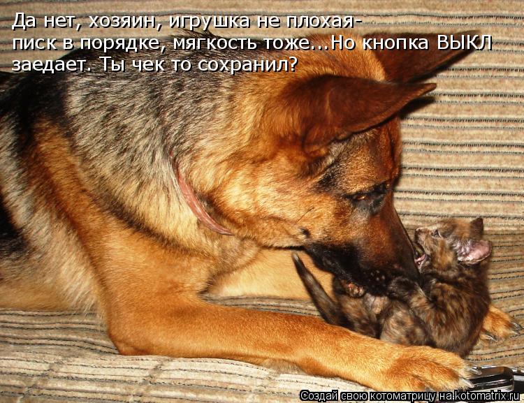 Да нет, хозяин, игрушка не плохая- писк в порядке, мягкость тоже...Но кнопка ВЫКЛ заедает. Ты чек то ... Котоматрица: Да нет, хозяин, игрушка не плохая- писк в порядке, мягкость тоже...Но кнопка ВЫКЛ заедает. Ты чек то сохранил?