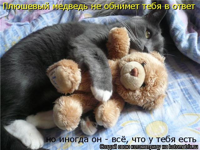 Котоматрица: Плюшевый медведь не обнимет тебя в ответ но иногда  но иногда он - всё, что у тебя есть