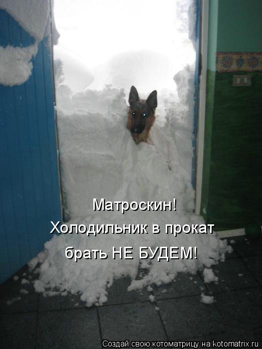 Матроскин! Холодильник в прокат брать НЕ БУДЕМ!... Котоматрица: Матроскин! Холодильник в прокат брать НЕ БУДЕМ!