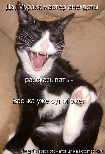 Да, Мурзик мастер анекдоты рассказывать - Васька уже сутки ржет... Котоматрица: Да, Мурзик мастер анекдоты рассказывать - Васька уже сутки ржет
