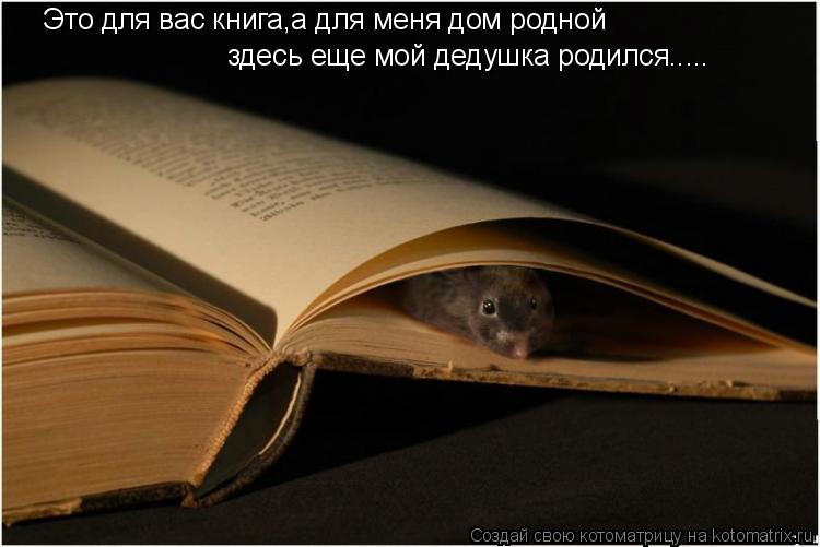 Котоматрица: Это для вас книга,а для меня дом родной здесь еще мой дедушка родился.....