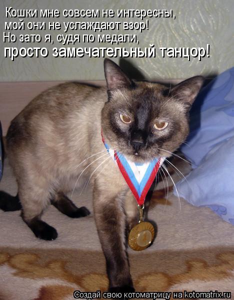 Кошки мне совсем не интересны, мой они не услаждают взор! Но зато я, судя по медали, просто замечател... Котоматрица: Кошки мне совсем не интересны, мой они не услаждают взор! Но зато я, судя по медали, просто замечательный танцор!