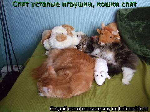 Котоматрица: Спят усталые игрушки, кошки спят