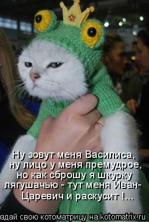 Котоматрица: Ну зовут меня Василиса, ну лицо у меня премудрое, но как сброшу я шкурку лягушачью - тут меня Иван- Царевич и раскусит !...