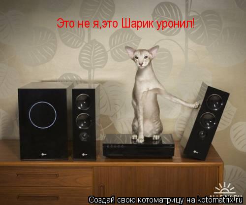 Котоматрица: Это не я,это Шарик уронил!