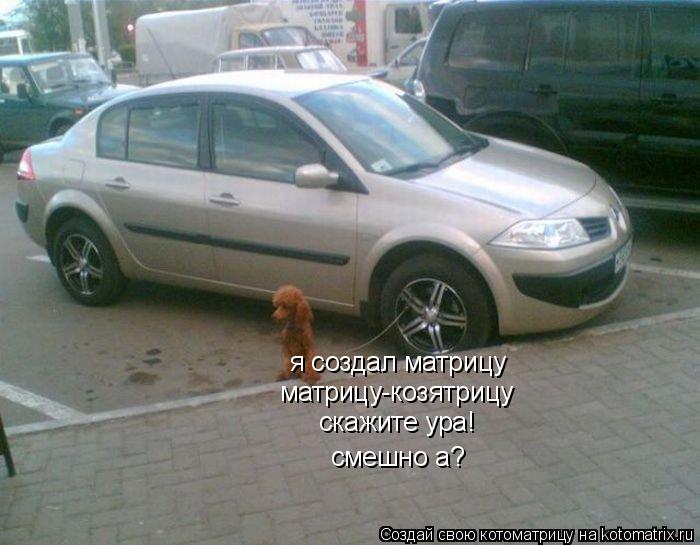 Котоматрица: я создал матрицу матрицу-козятрицу скажите ура! смешно а?