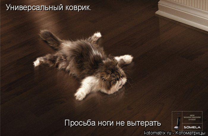 Котоматрица: Универсальный коврик.  Просьба ноги не вытерать