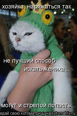 Котоматрица: хозяйка, наряжаться так не лучший способ искать жениха... могут и стрелой попасть...