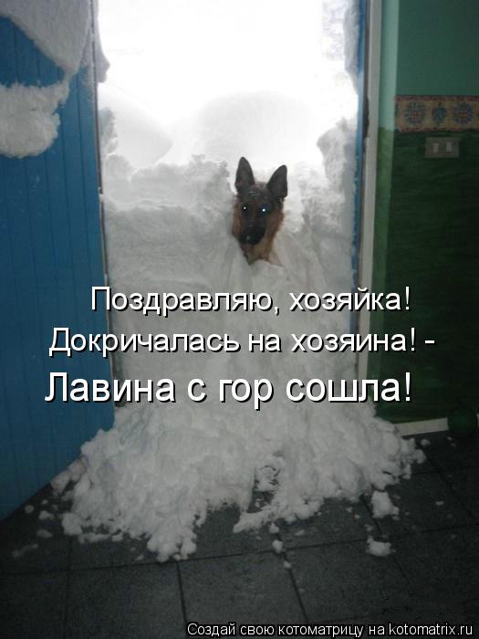 Поздравляю, хозяйка! Докричалась на хозяина! - Лавина с гор сошла!... Котоматрица: Поздравляю, хозяйка! Докричалась на хозяина! - Лавина с гор сошла!
