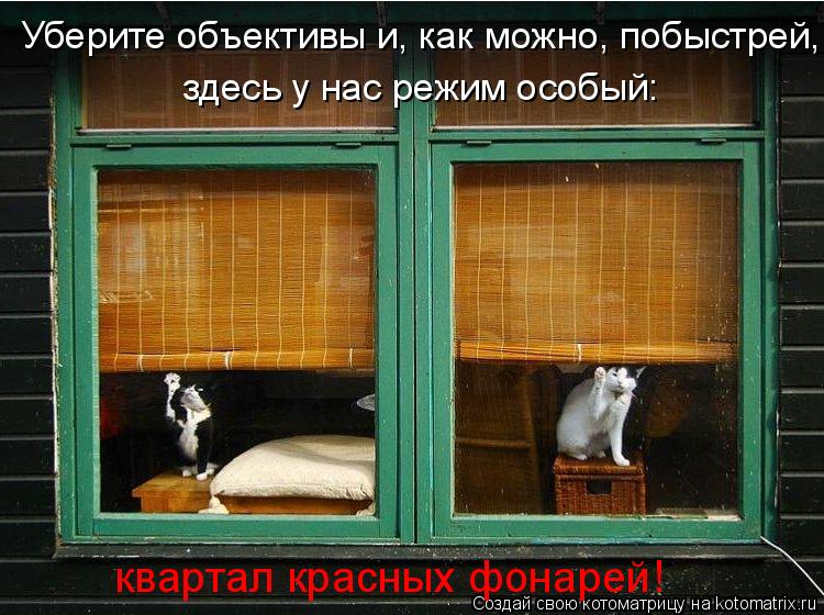 здесь у нас режим особый: квартал красных фонарей! Уберите объективы и, как можно, побыстрей,... Котоматрица: здесь у нас режим особый: квартал красных фонарей! Уберите объективы и, как можно, побыстрей,