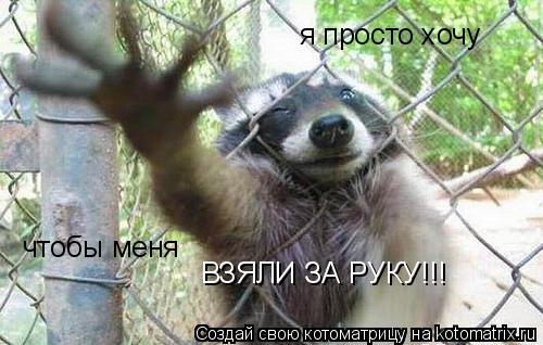 Котоматрица: я просто хочу чтобы меня  ВЗЯЛИ ЗА РУКУ!!!