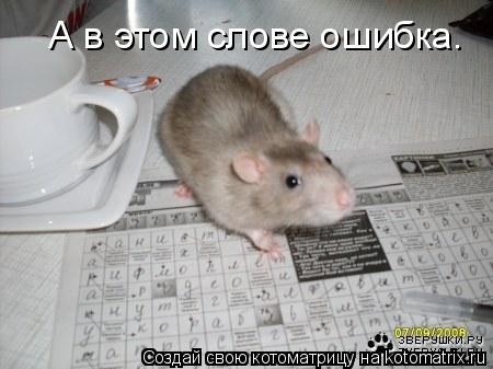 Котоматрица: А в этом слове ошибка.