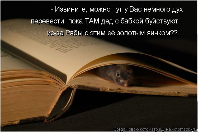 Котоматрица: - Извините, можно тут у Вас немного дух  перевести, пока ТАМ дед с бабкой буйствуют  из-за Рябы с этим её золотым яичком??...