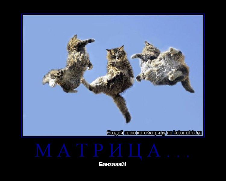Котоматрица: Матрица... Банзааай!