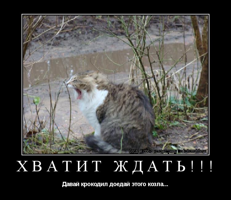 Котоматрица: Хватит ждать!!! Давай крокодил доедай этого козла...