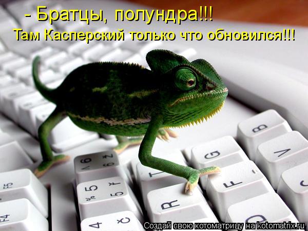 - Братцы, полундра!!! Там Касперский только что обновился!!!... Котоматрица: - Братцы, полундра!!! Там Касперский только что обновился!!!