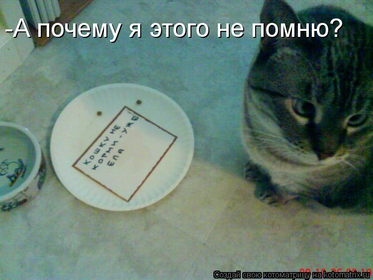 -А почему я этого не помню?... Котоматрица: -А почему я этого не помню?