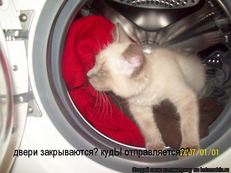 Котоматрица: двери закрываются? кудЫ отправляется??