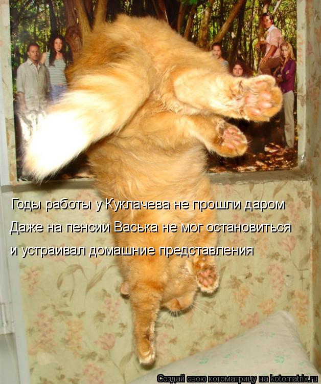 Даже на пенсии Васька не мог остановиться Годы работы у Куклачева не прошли даром и устраивал домашни... Котоматрица: Даже на пенсии Васька не мог остановиться Годы работы у Куклачева не прошли даром и устраивал домашние представления
