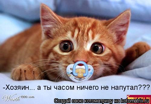 -Хозяин... а ты часом ничего не напутал???... Котоматрица: -Хозяин... а ты часом ничего не напутал???